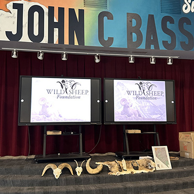 Wild Sheep Foundation prsesentation to Las Vegas elementary students